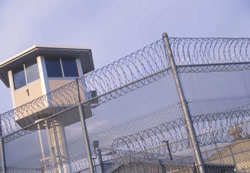 Excessive Detention in US policy