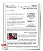 Congress' Attack on ACORN factsheet