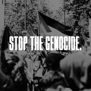 In bold, all caps white letters it says STOP THE GENOCIDE. Behind the words is a dark black and white image of a group of people holding Palestinian flags.
