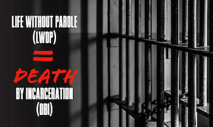 text reads life without parole equals death by incarceration