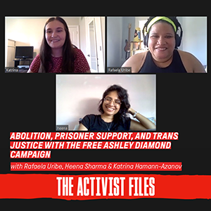 text reads Abolition, Prisoner Support, and Trans Justice with the Free Ashley Diamond Campaign