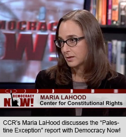 Maria LaHood on Democracy Now!