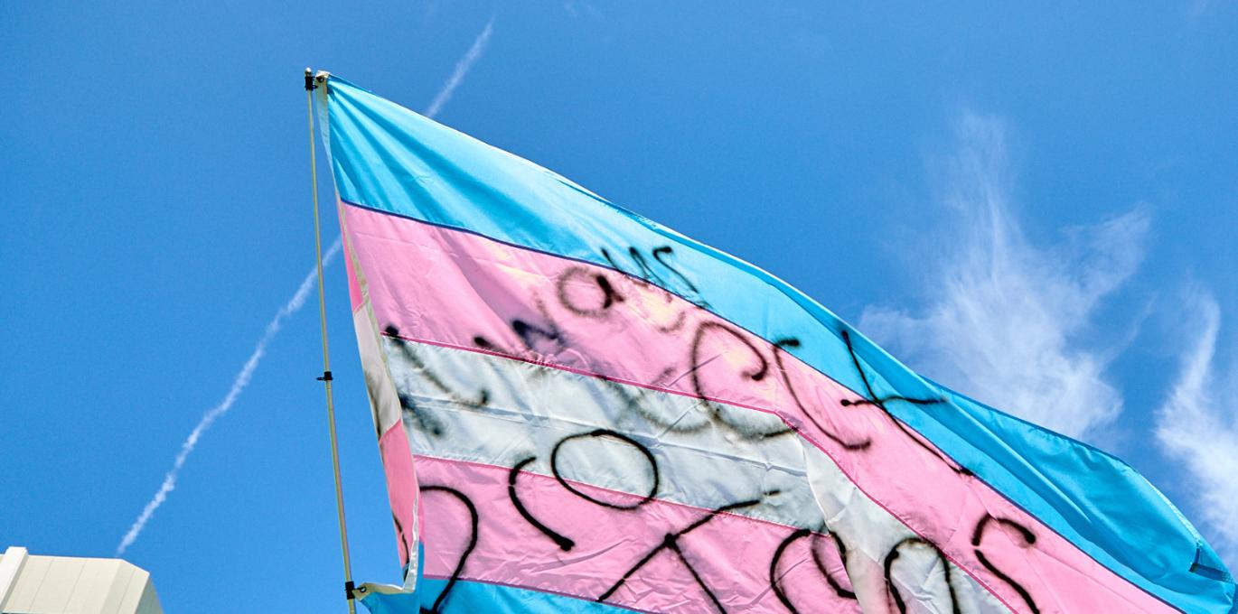 Trans flag in support  of protecting incarcerated trans people