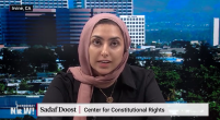 Screen grab from the Democracy Now interview with Sadaf Doost. 