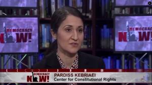 Pardiss Kebriaei on Democracy Now